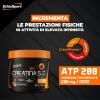 CREATINA 5.0 - foto 2