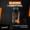 THERMO MASTER - Foto 3