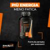 THERMO MASTER - Foto 4