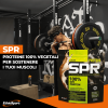 PROTEIN SPR - photo 3