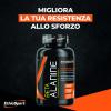 Beta ALANINA - Endurance Enhanced Formula - photo 3